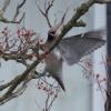 IMG2019-01-1419.01.22