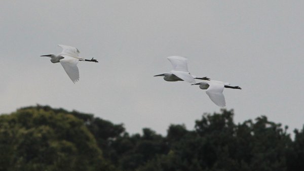 IMG2014-07-1018.00.16
