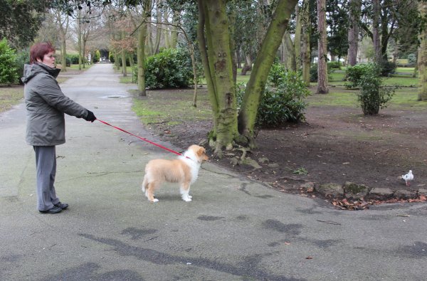 Boxingdayintheparkwithmumthepigeons