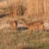 IMG2019-02-2616.24.31