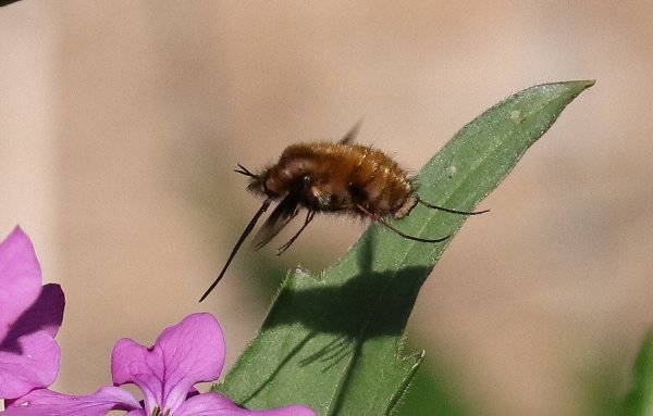 IMG2019-04-2221.04.41 (1)