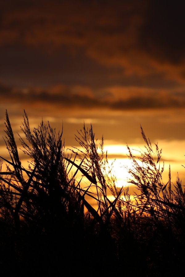 IMG2017-10-3022.9.53 (1)