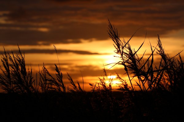 IMG2017-10-3022.9.53